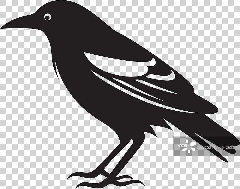 鹰的卓越优雅的雀鹰图标图片素材