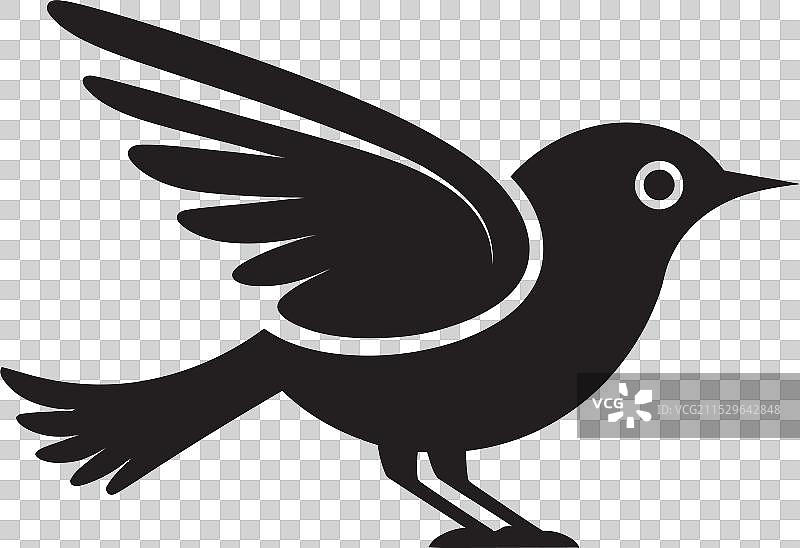 雀鹰的威严、冠、信天翁的主导地位图片素材