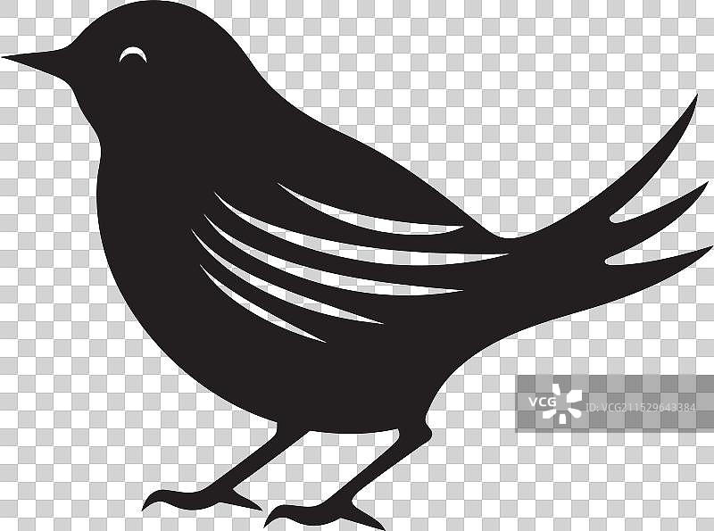 鹤的智慧与宁静的雀鹰设计图片素材