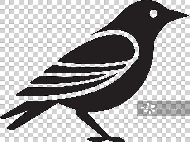 在运动中的雀鹰与优雅的天鹅宁静相伴图片素材