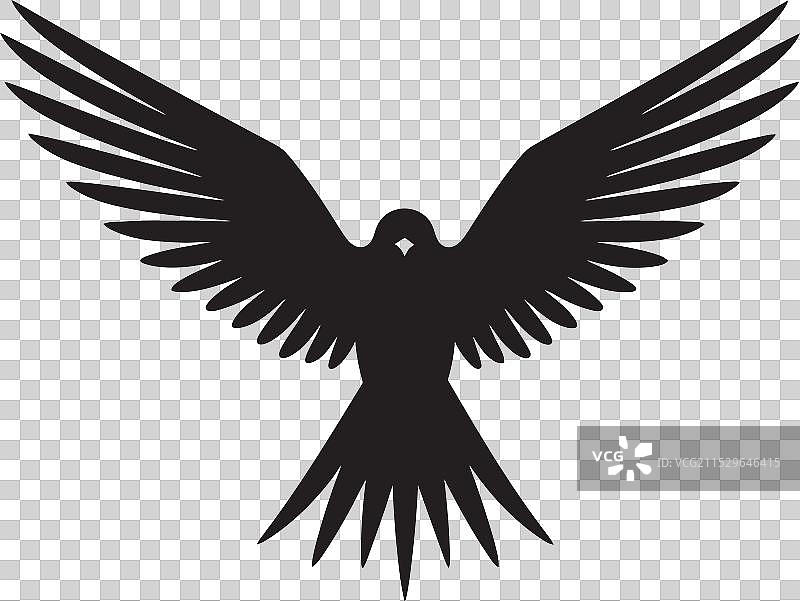 天空中的黑色美丽，乌黑的象征图片素材