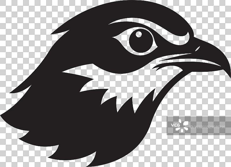 雕刻的雀鹰徽章单色杰作图片素材