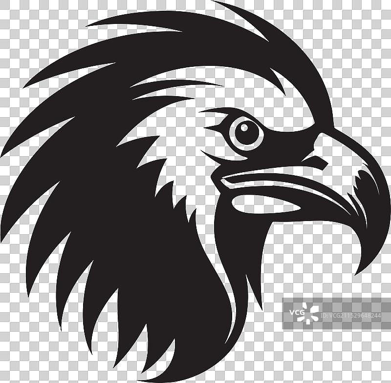 威严的天空掠食者标记阴影中的腐肉猎手图片素材