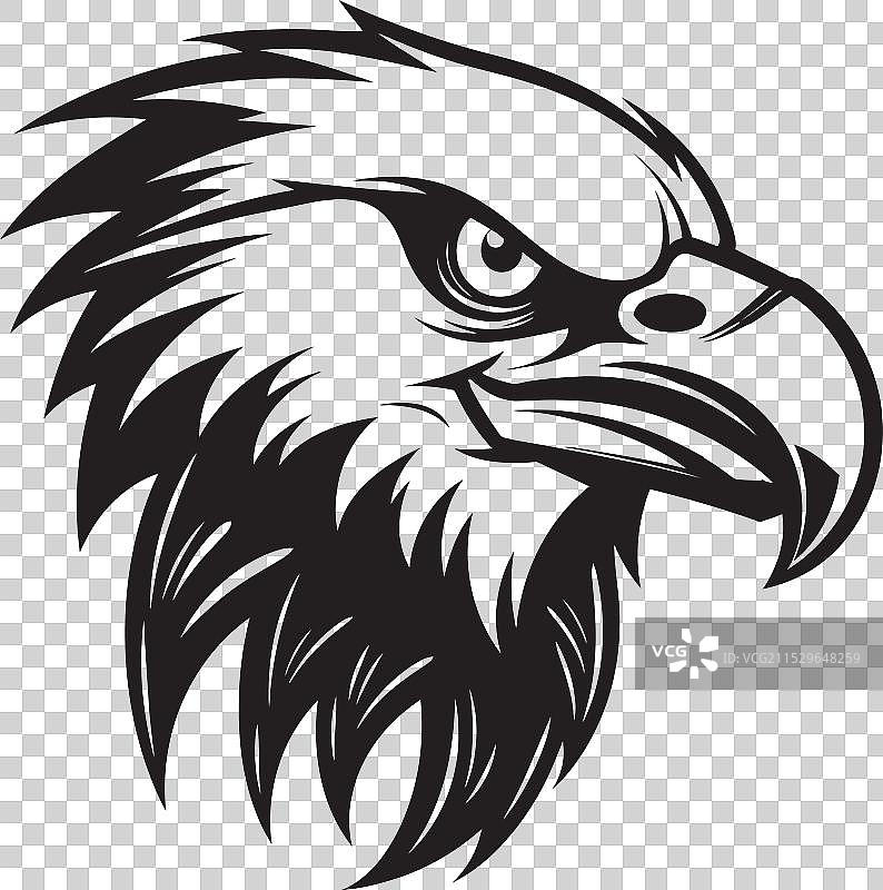 天空中的无声掠食者：黑秃鹰图片素材