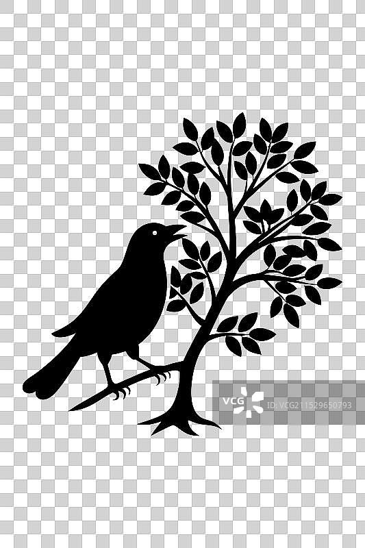 优雅的鸟与树影的水壶图片素材