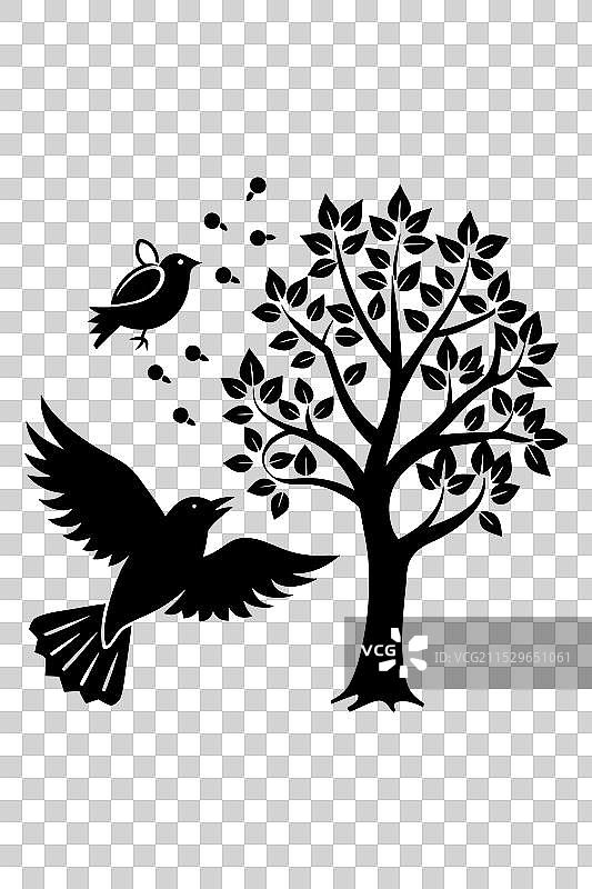 优雅的鸟与树影的水壶图片素材