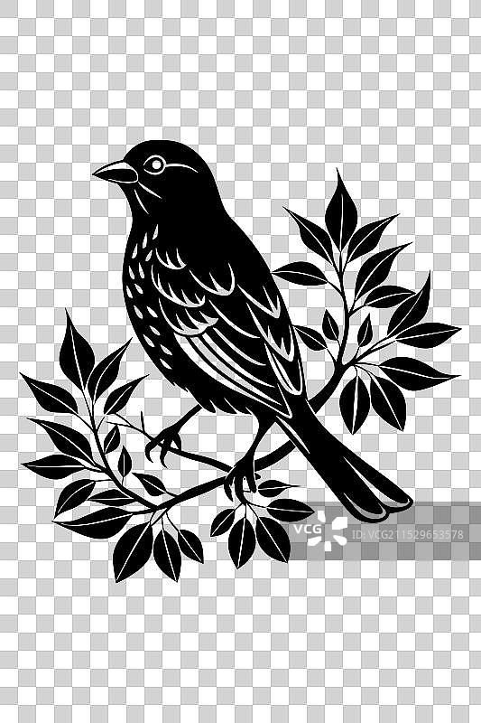 优雅的鸟与树影的水壶图片素材