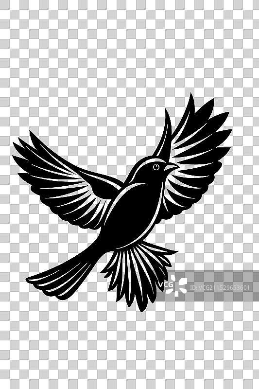 优雅的鸟与树影的水壶图片素材