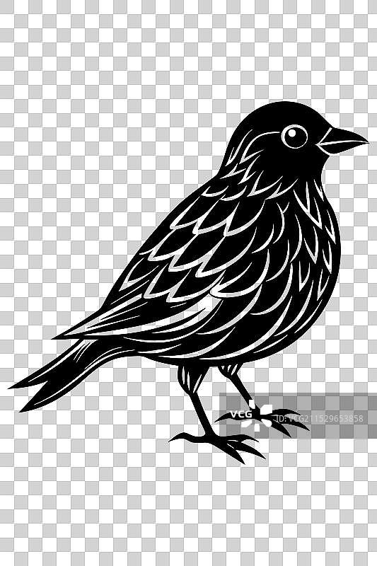 优雅的鸟与树影的水壶图片素材