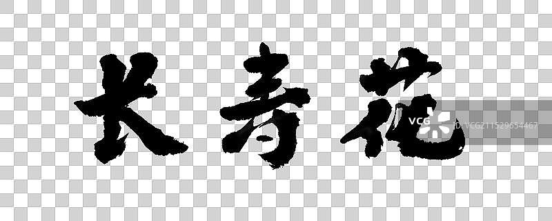 长寿花-中国风楷书国潮风毛笔手写艺术字元素图片素材