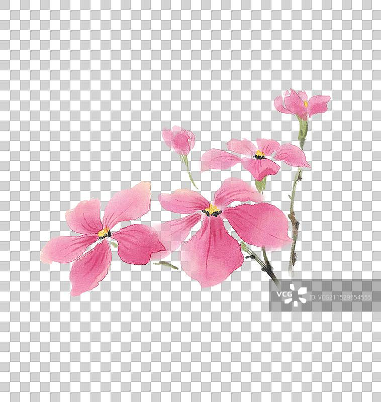 冬季长春花花卉-国风古风水墨水彩肌理元素图片素材