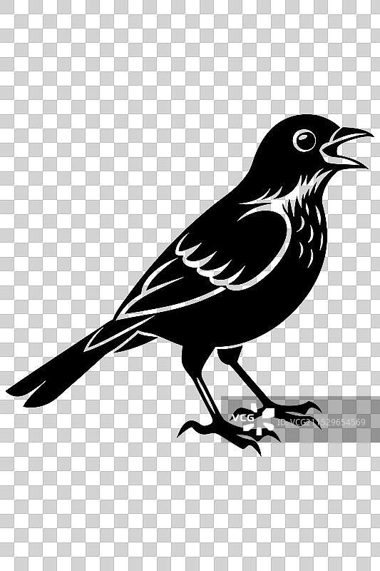 优雅的鸟与树影的水壶图片素材