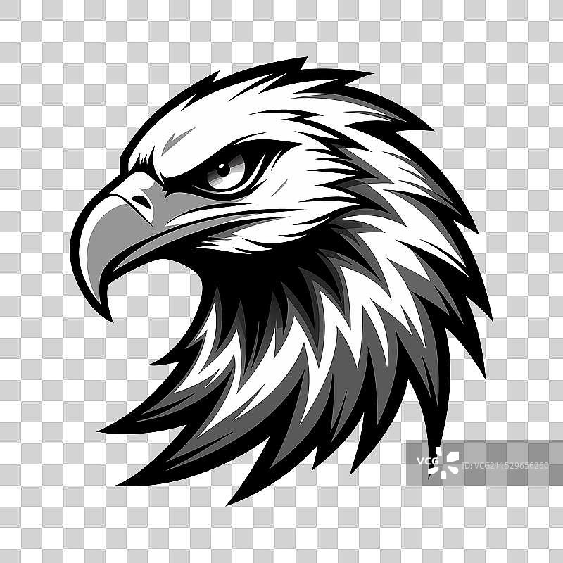 一只凶猛的鹰头图片素材