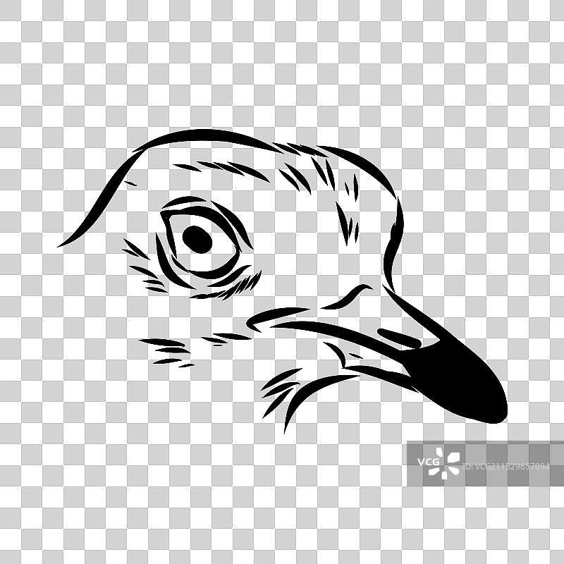 手绘可爱的鸻鸟卡片，美丽的动物图片素材