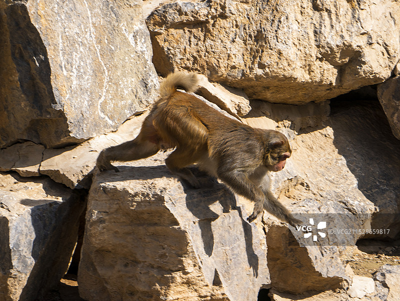 太原动物园图片素材