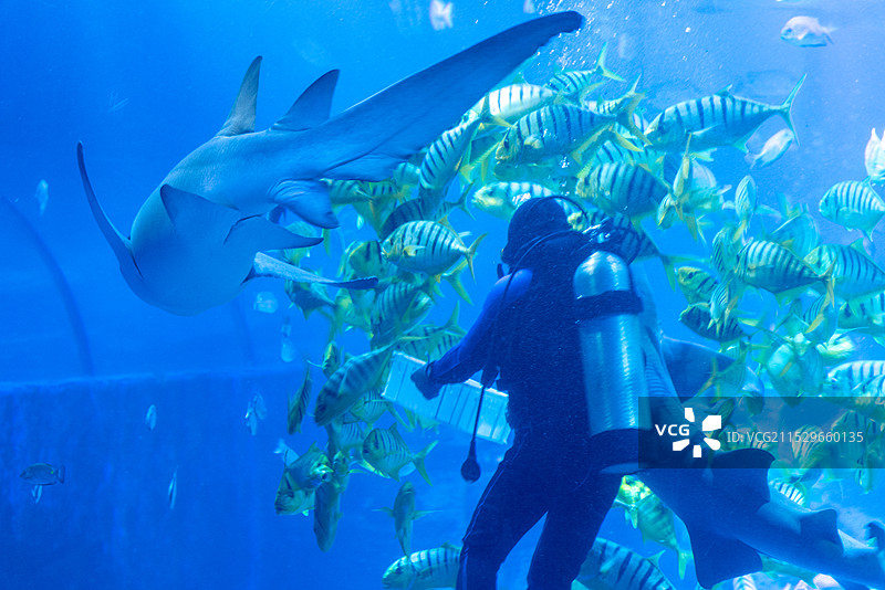 北京太平洋海底世界博览馆图片素材