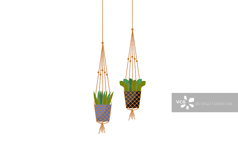 办公室用的悬挂盆栽植物和香草图片素材