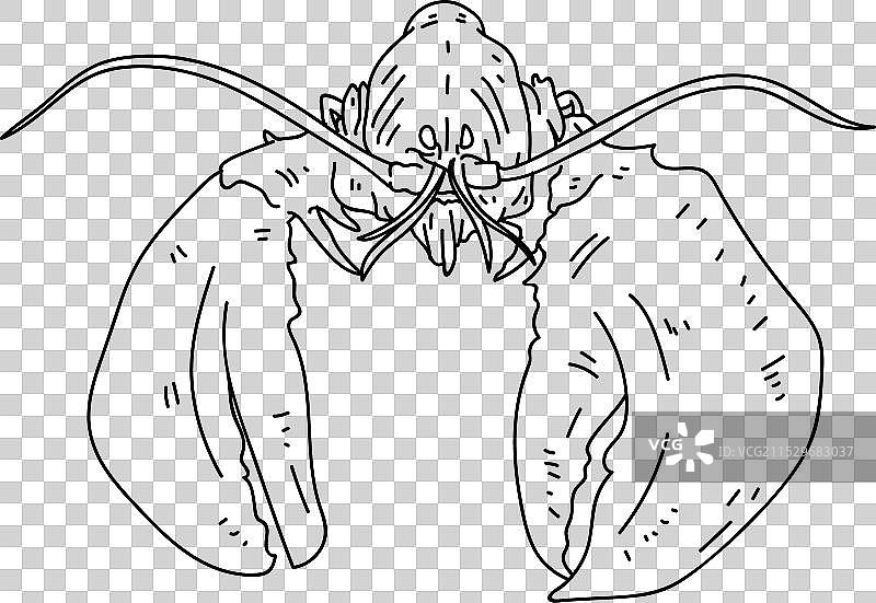 龙虾的触角和爪子动作图片素材