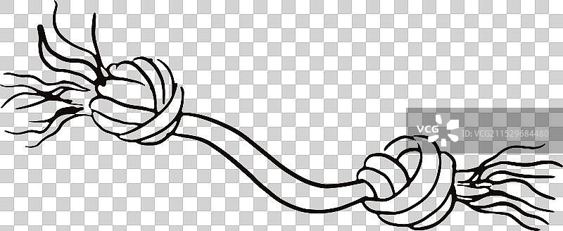 绳索咀嚼宠物玩具涂鸦图片素材