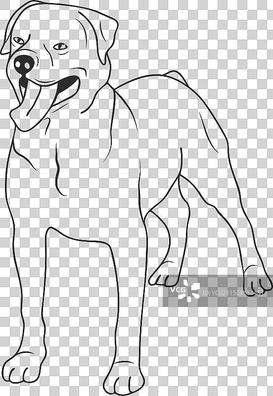 罗威纳犬抚摸图片素材
