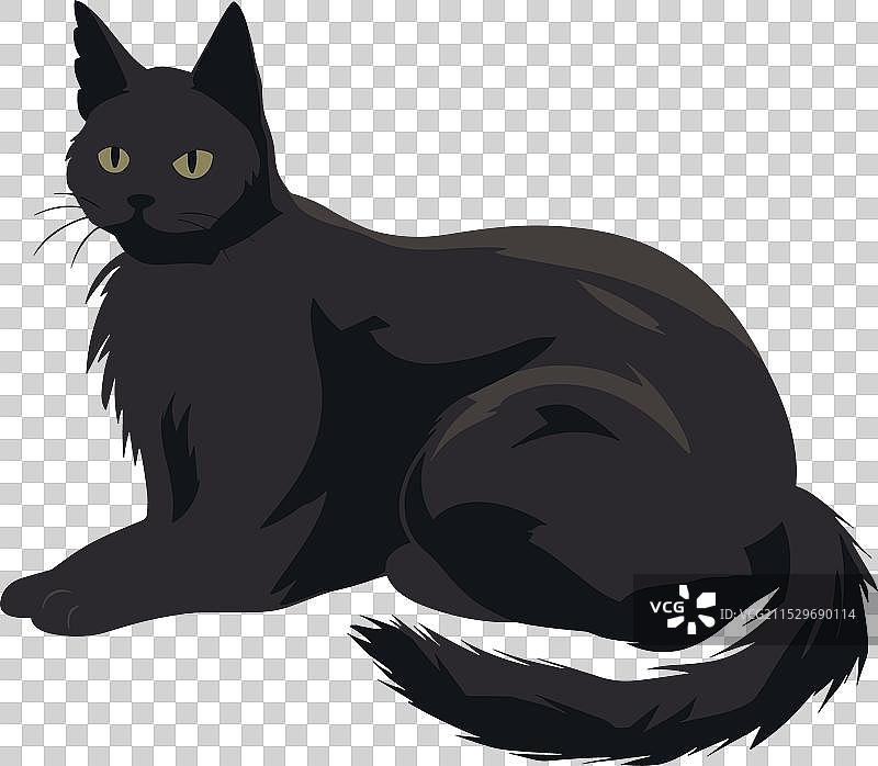 一只黑猫坐着，侧着头看向一旁。图片素材