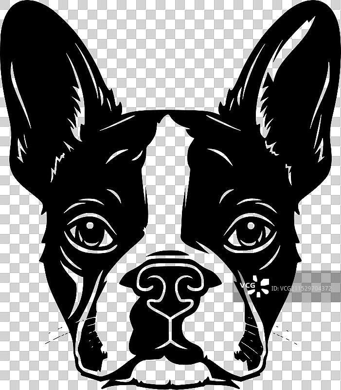 波士顿犬 - 黑白色孤立图标图片素材