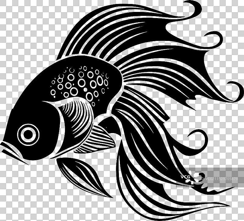 黑白鱼图片素材