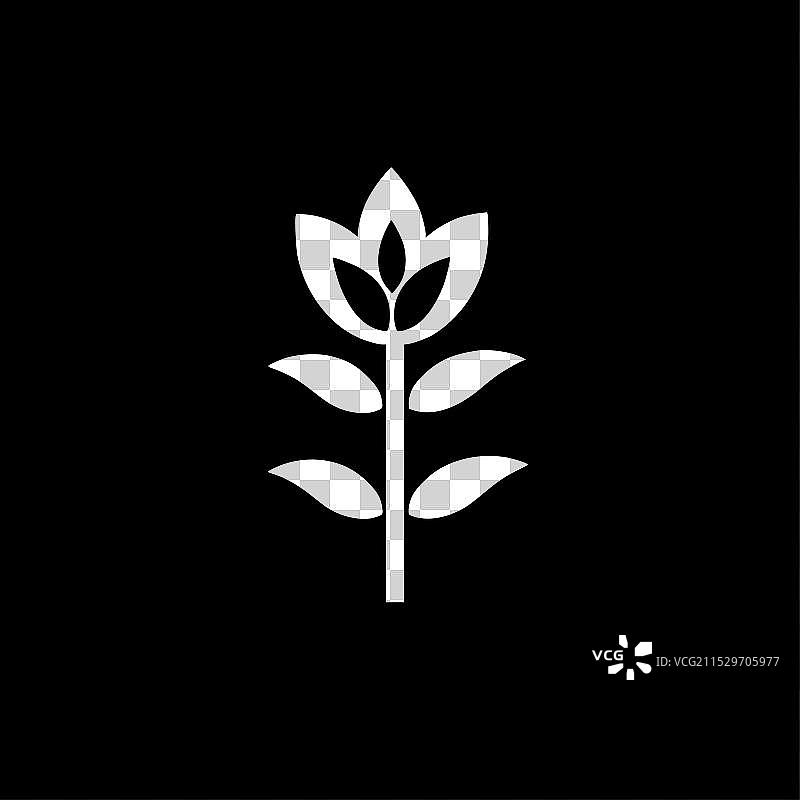 花卉 - 极简和简单的轮廓图片素材