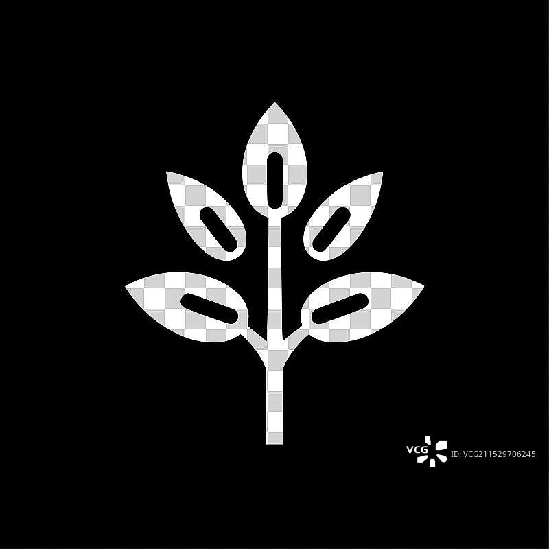 花卉 - 极简和简单的轮廓图片素材