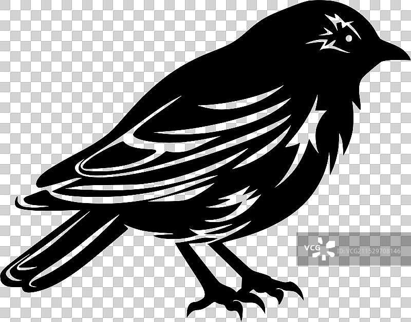 鸽子 - 高质量标志 - 适合T恤使用图片素材