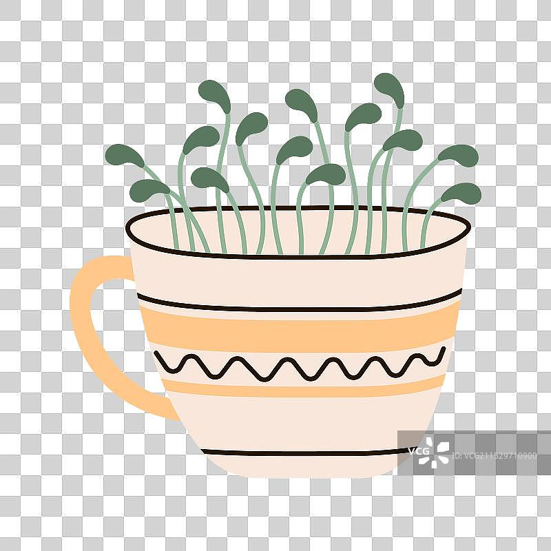 发芽的胡椒菜水田芥微型绿叶蔬菜图片素材