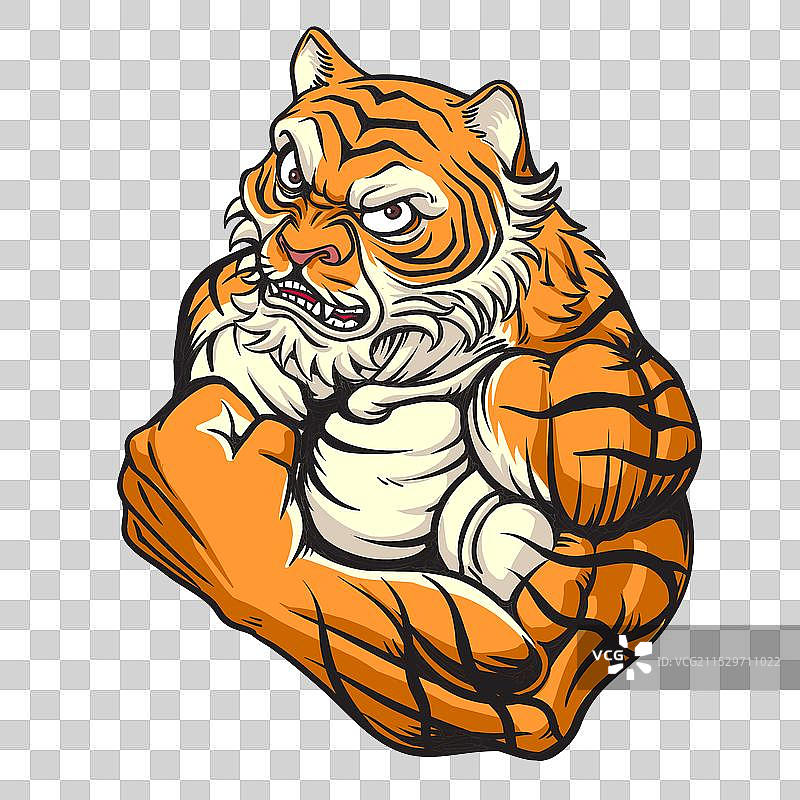 强壮而愤怒的老虎图片素材