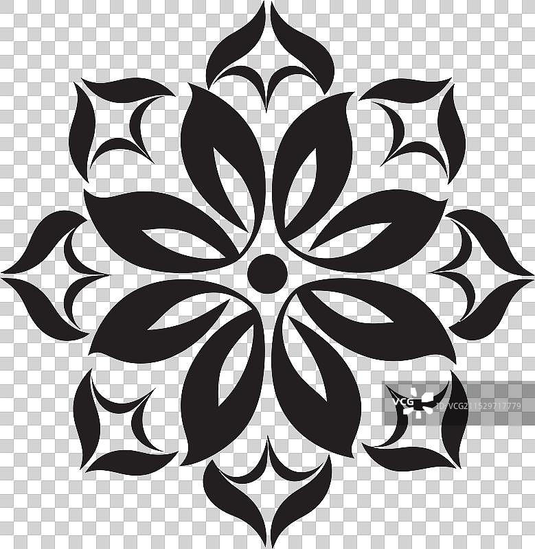 奇幻的黑色植物奢华的缟玛瑙花朵图片素材