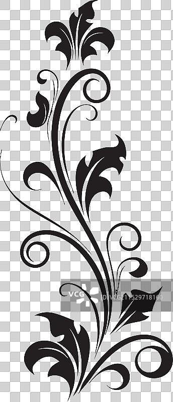 黑色花朵中的感性缟玛瑙花艺图片素材