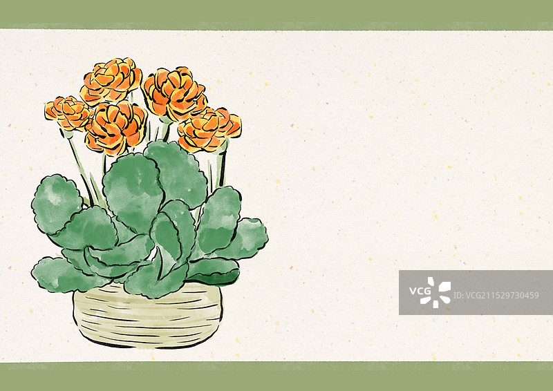 国潮风花卉插画-长寿花图片素材