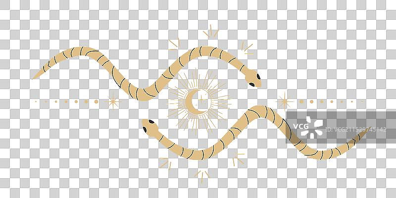 天蛇环形框架的神秘图案图片素材