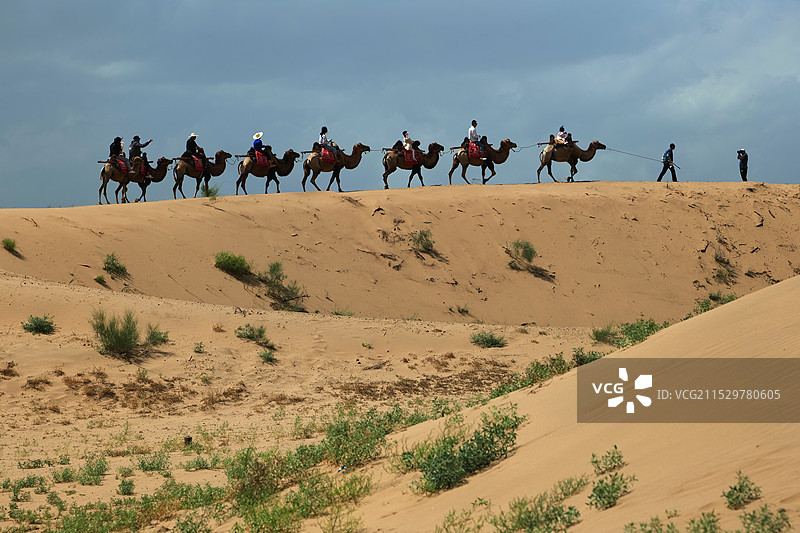 银川黄沙古渡原生态旅游区图片素材