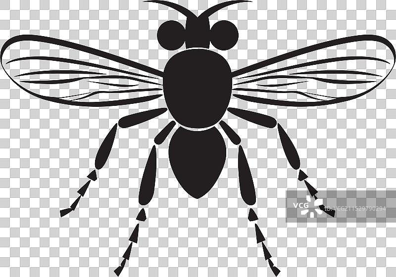 跳蚤标志 免费宠物跳蚤标志 家庭害虫图片素材