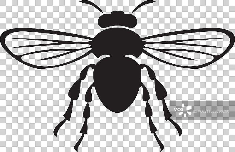 跳蚤标志 家庭害虫 跳蚤标志 问题图片素材