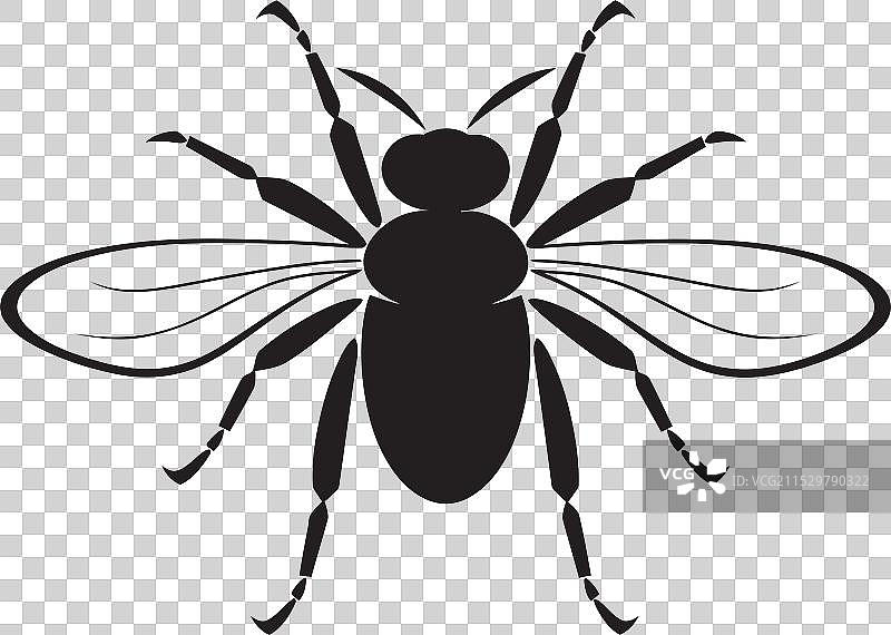 跳蚤治疗方案标志图片素材