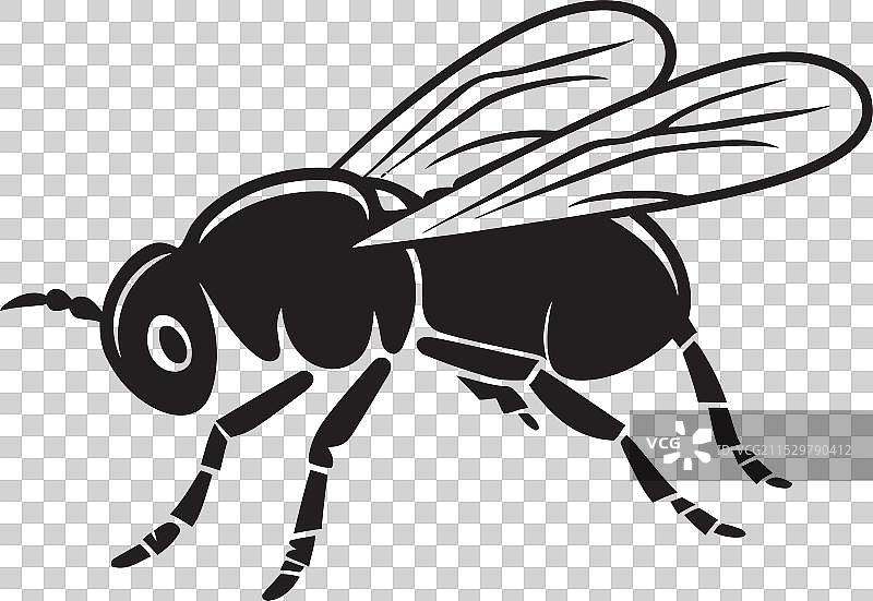 无跳蚤宠物标志，健康的象征图片素材