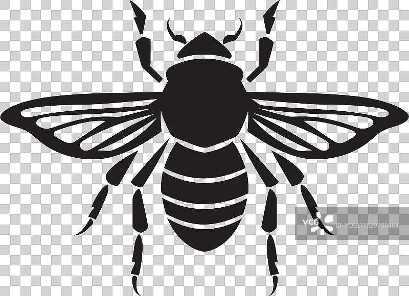 跳蚤市场发现的跳蚤标志象征着图片素材