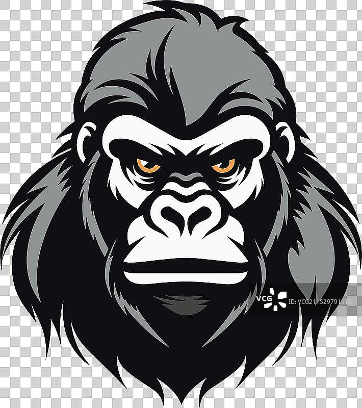 丛林中黑色猿猴轮廓标志的野性之美图片素材