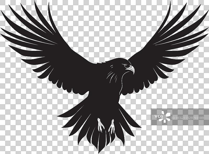 黑鹰捕食者标志图片素材