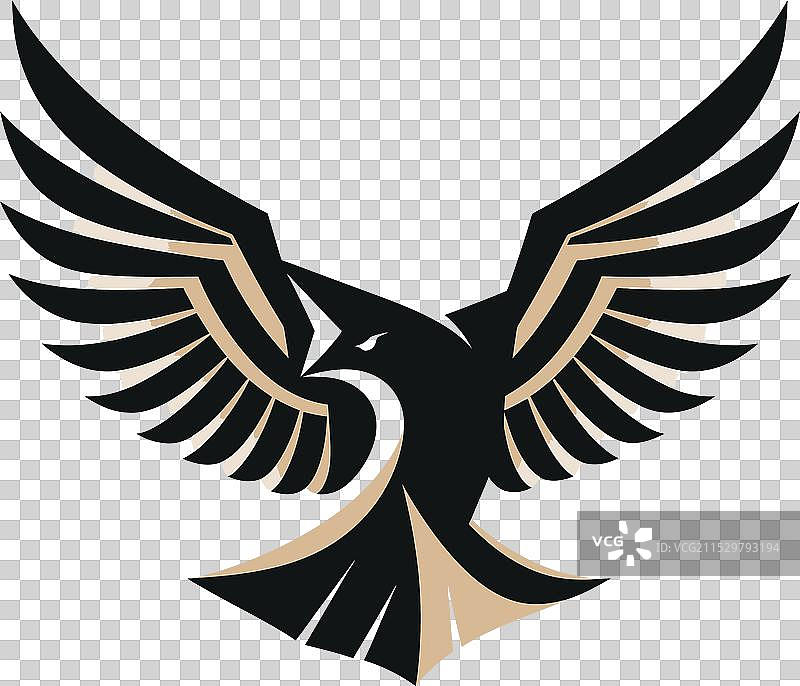 黑色喙鹰捕食者标志黑眼鹰图片素材