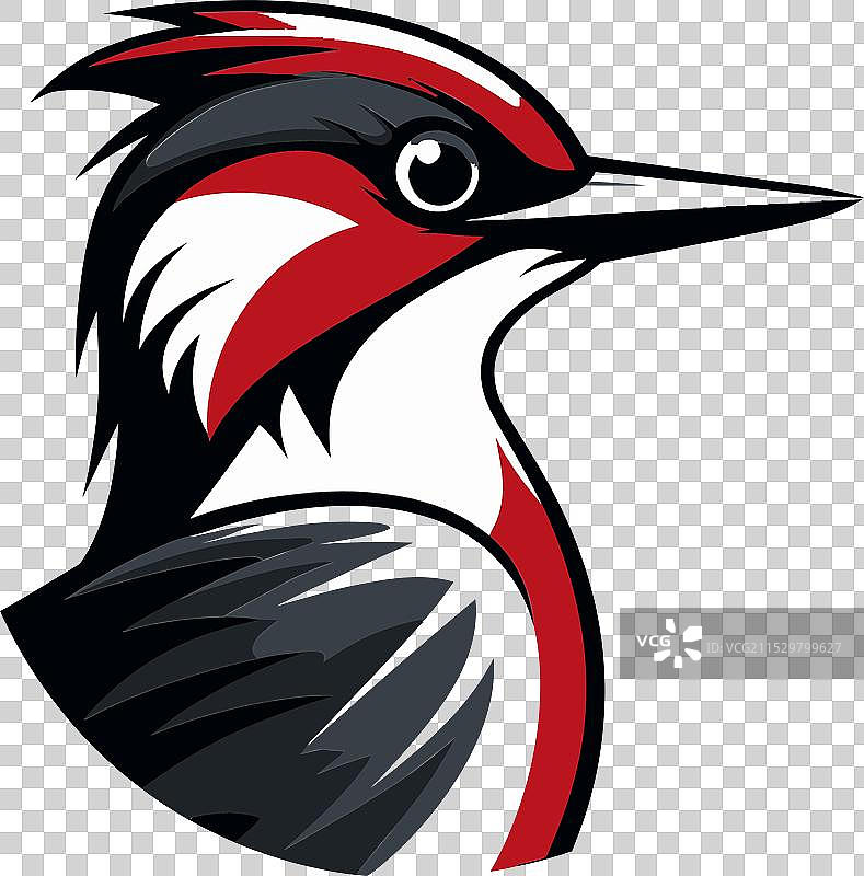 黑色啄木鸟鸟类标志设计水彩画图片素材