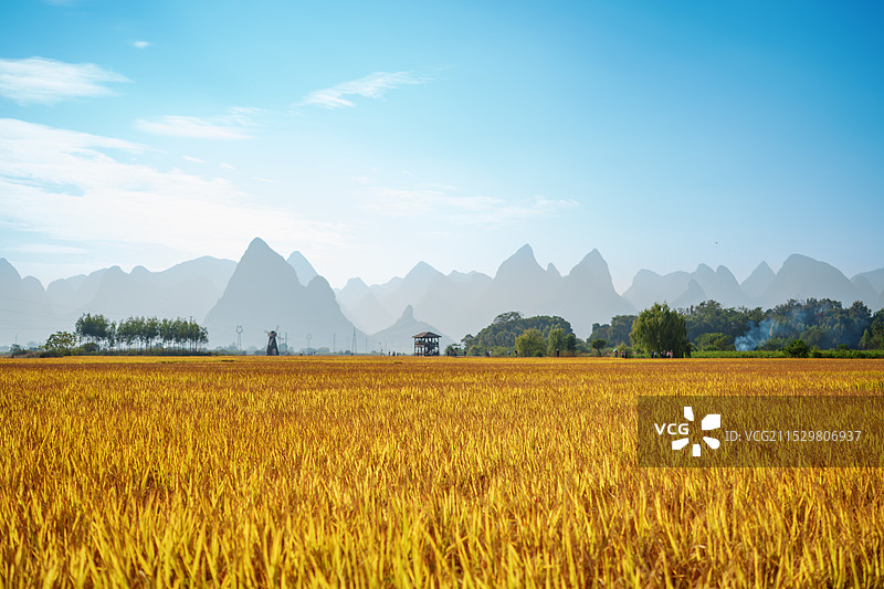 古砦仫佬族自治乡稻花飘香景区图片素材