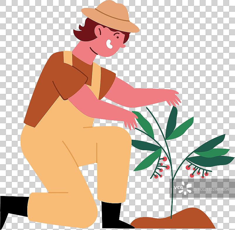 咖啡采摘者的卡通形象与树木图片素材