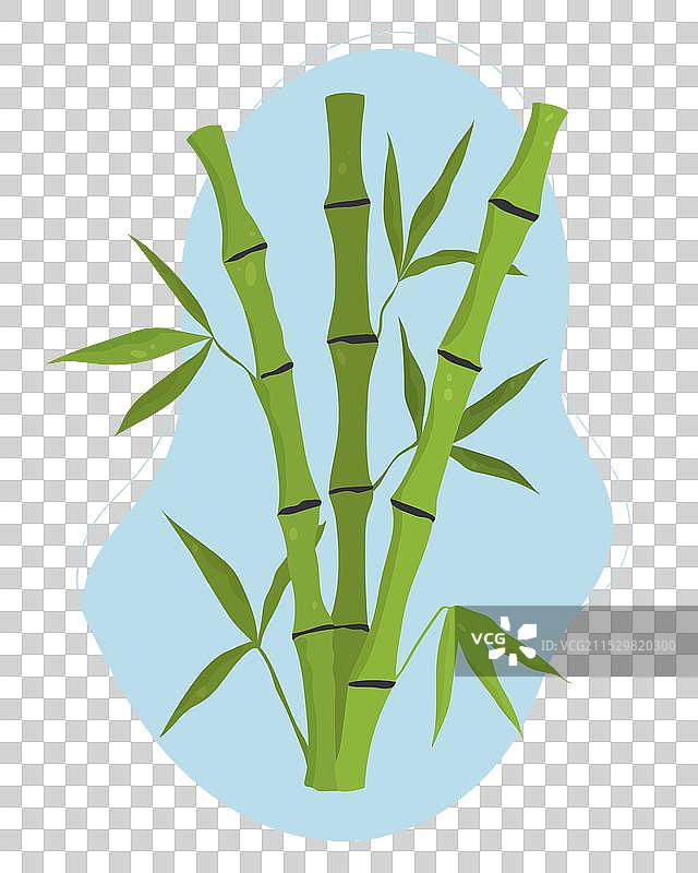 手绘竹干和竹叶竹树图片素材