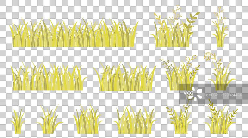 秋天枯萎的草地上开满了野花和草药图片素材